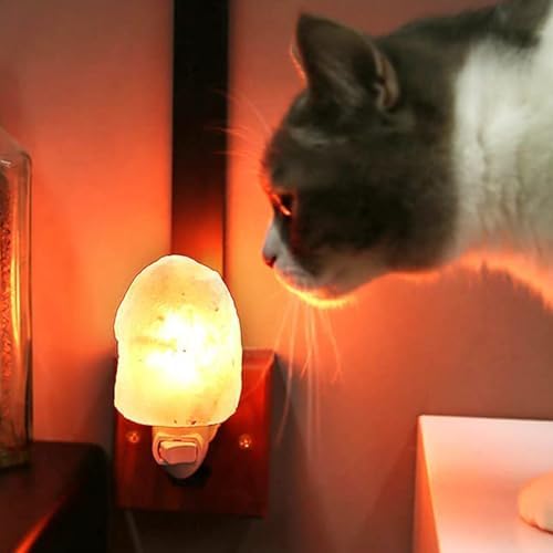 Vue 6 de Ohlgt Lampe De Sel