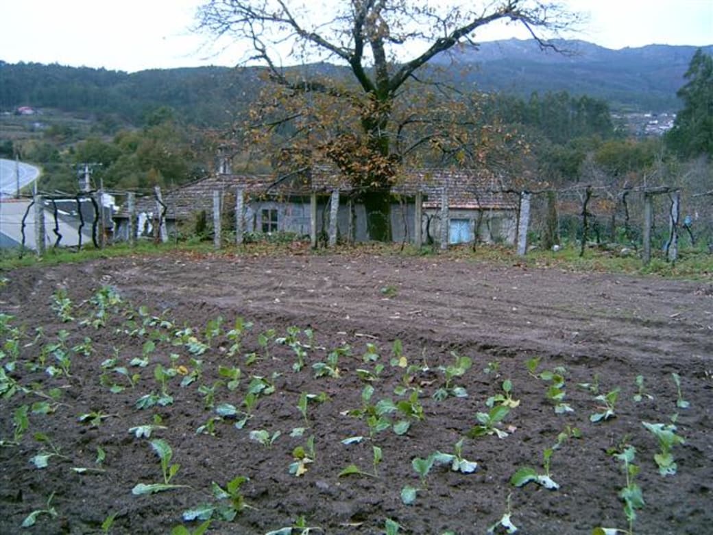 FINCA