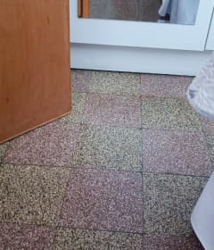 Foto de Regina R.