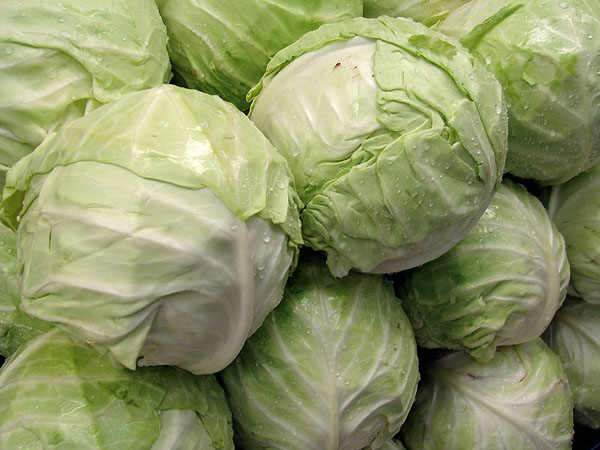 Cabbage (10 kg min order)