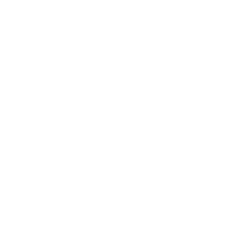 Software