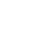 Terms and Conditions