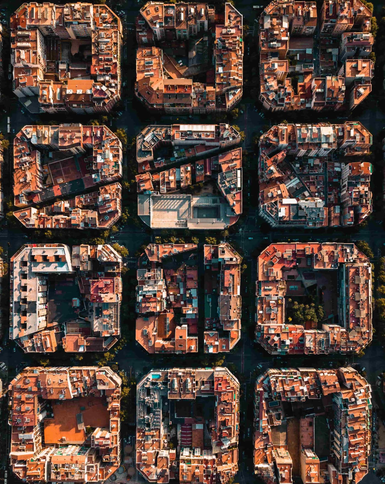 Description of Architecture and society