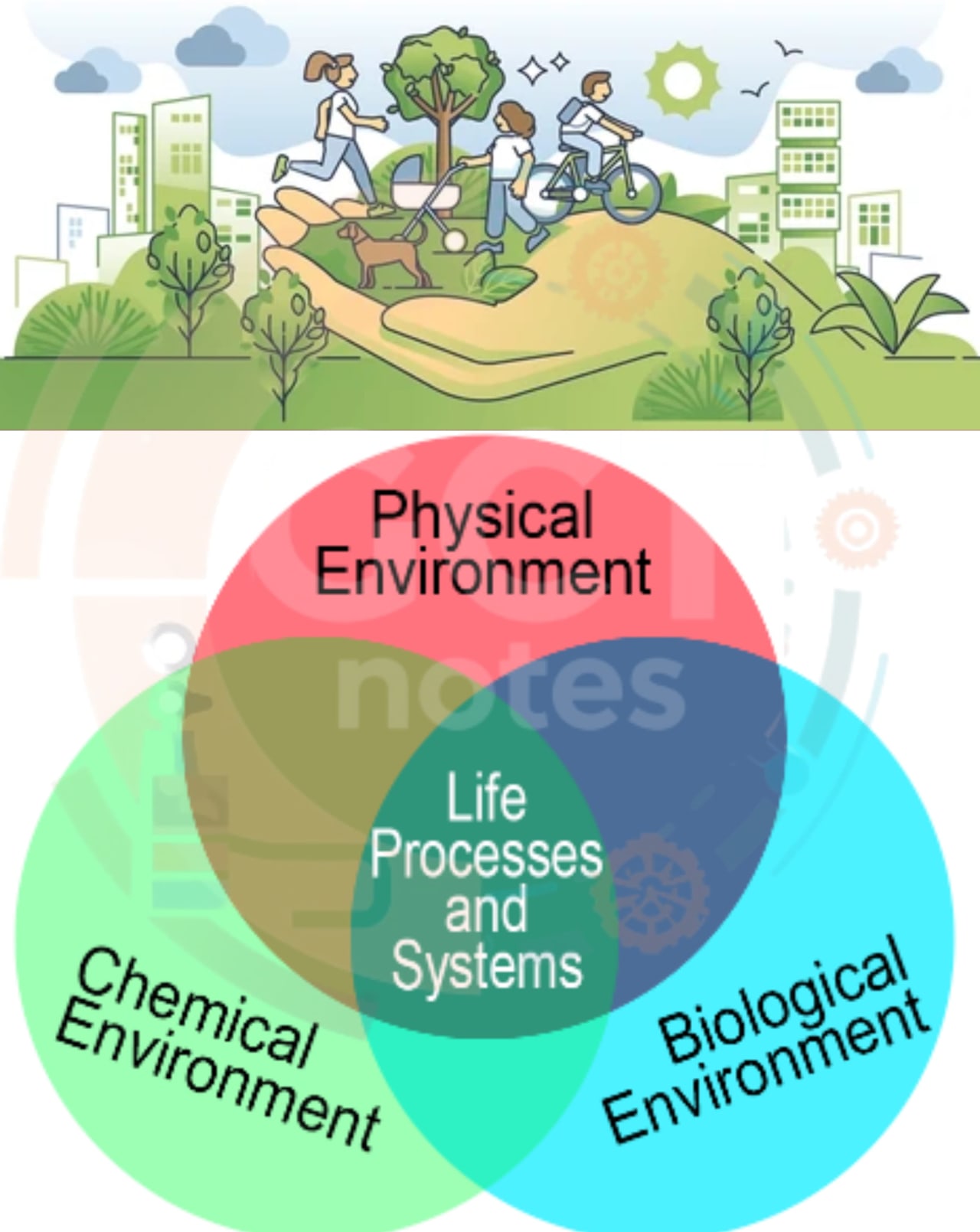 Description of Physical environment