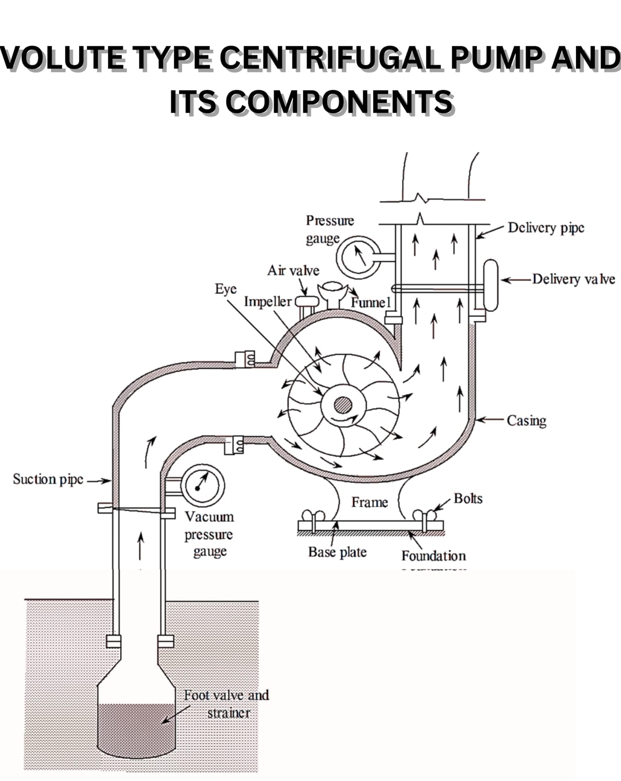Description of Pumps