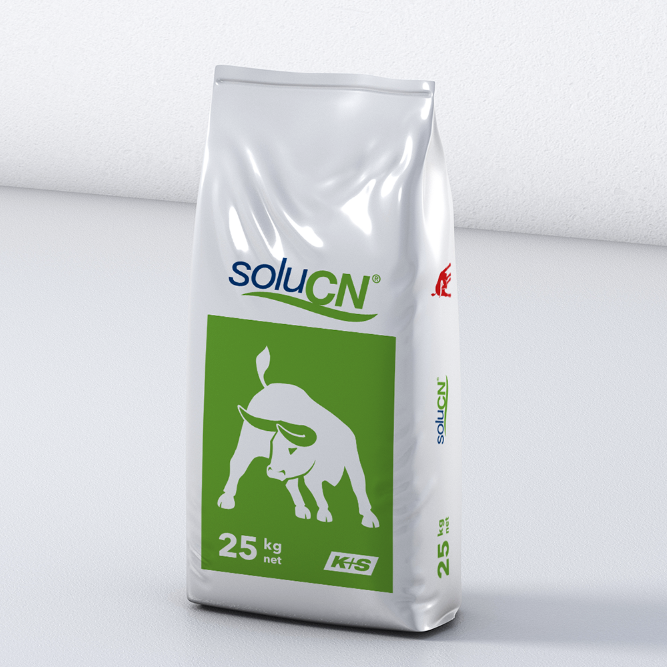 SoluCN