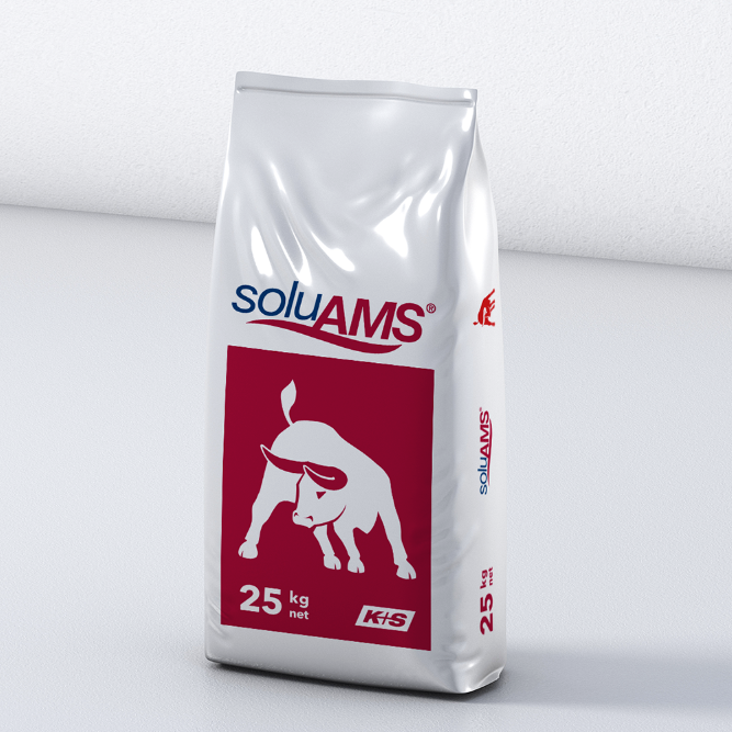 SoluAMS