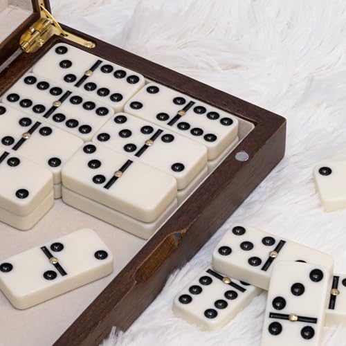 Vue 2 de Lot De Dominos Pour