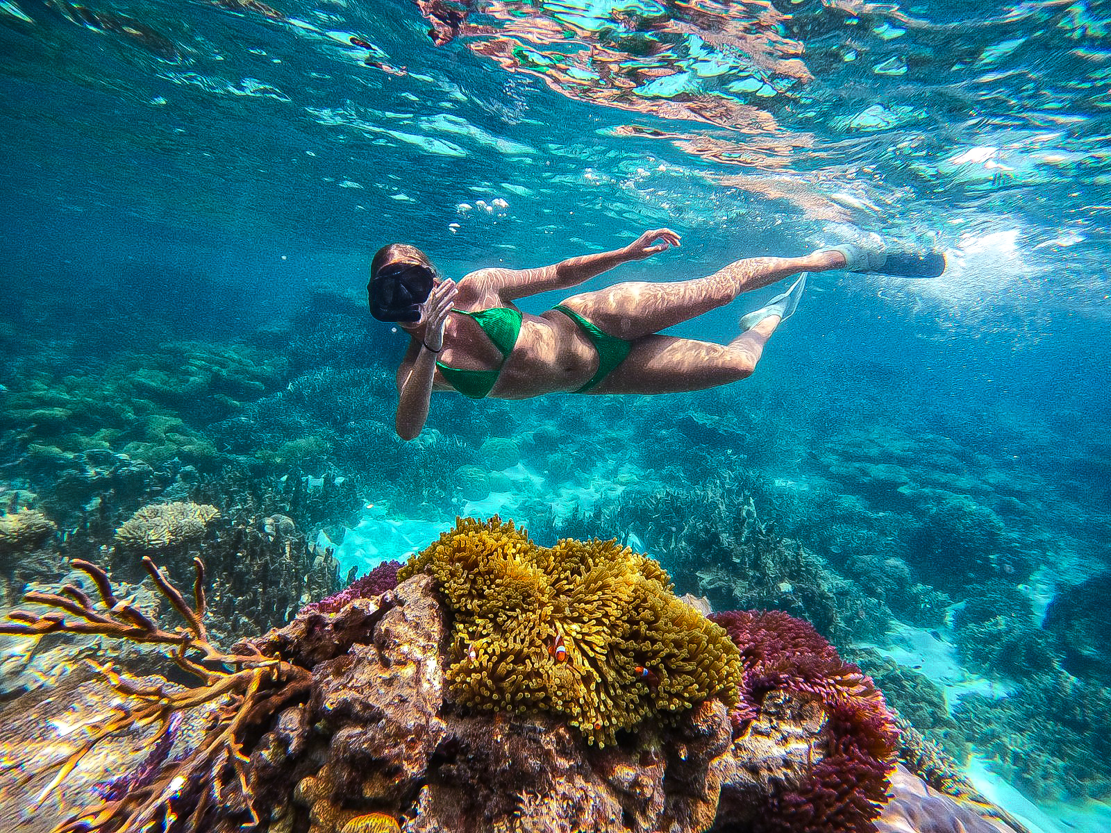 Snorkelling in Crystal-Clear Waters