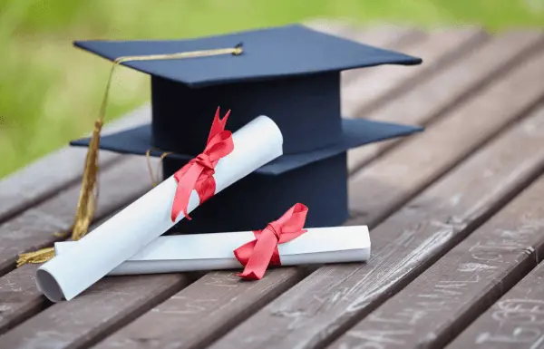 Global Degree