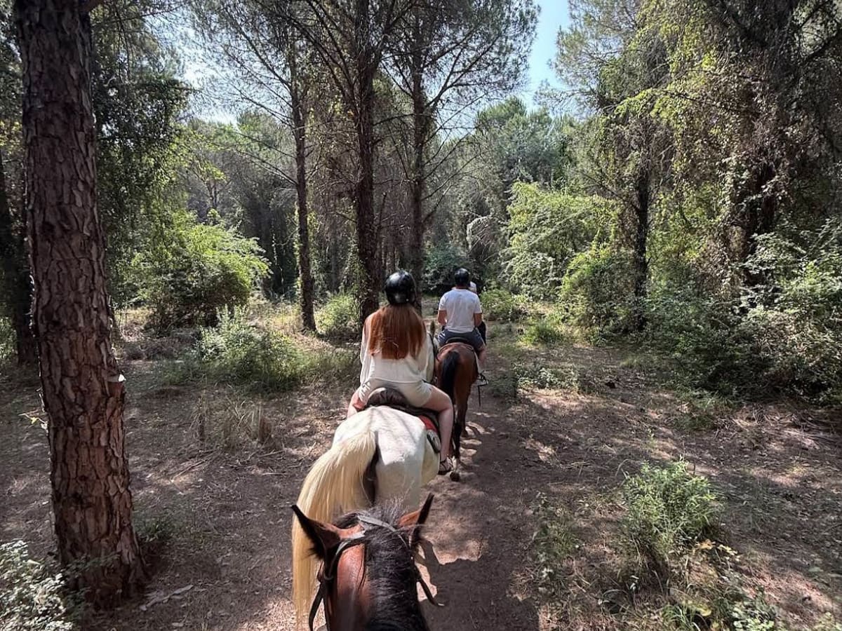 Lara'da At Safari: Deniz & Orman Rotası - Antalya deneyimi