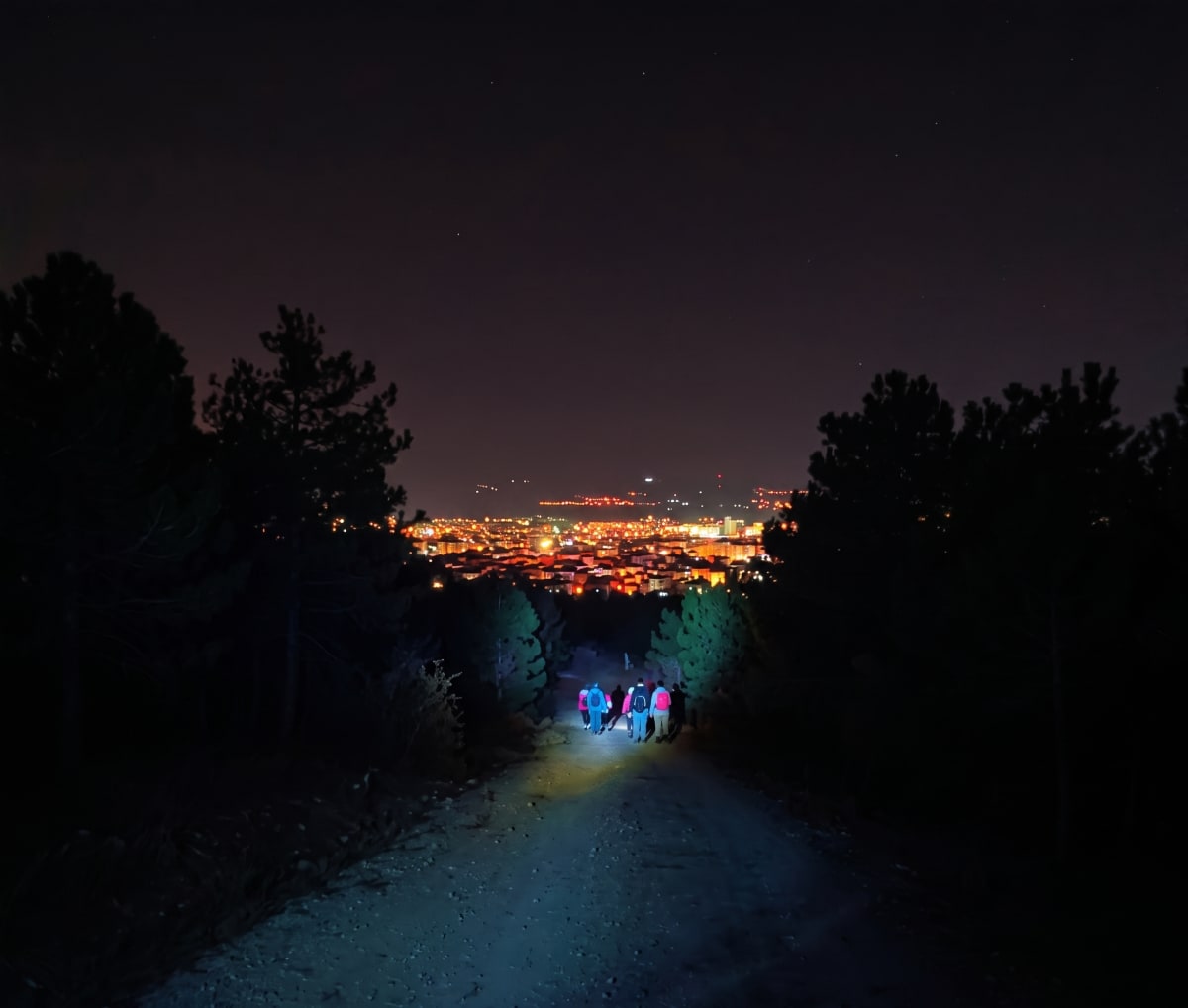Eskişehir Kent Ormanı Gece Doğa Yürüyüşü - Görsel 2