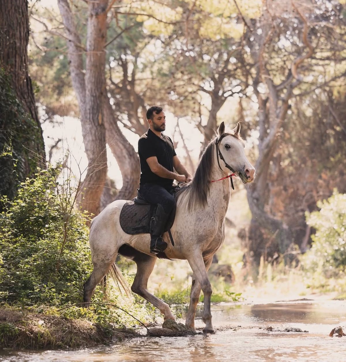 Muratpaşa Orman Parkuru At Safari — Muratpaşa, Antalya