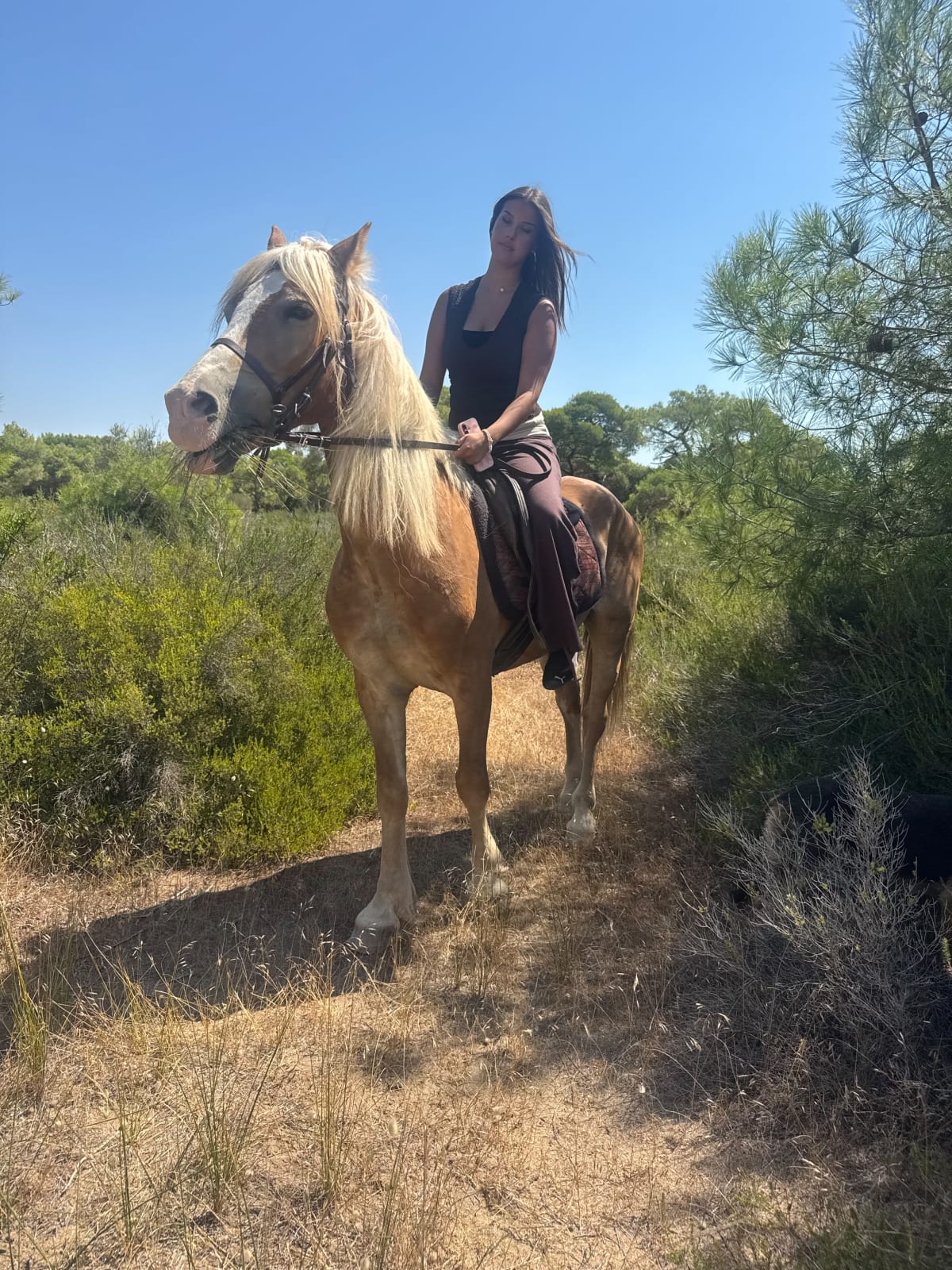 Muratpaşa Orman Parkuru At Safari — Muratpaşa, Antalya (görsel 3)