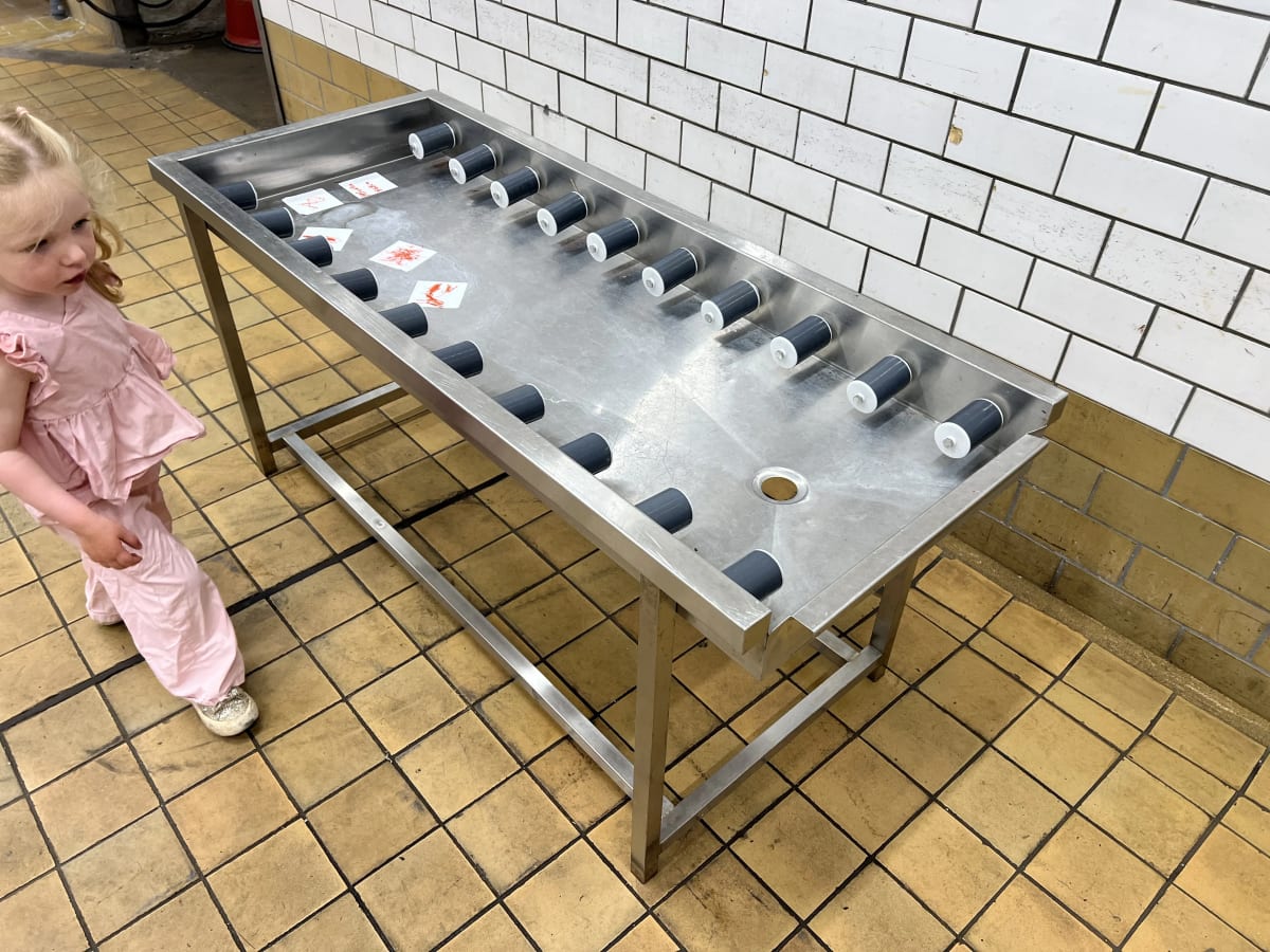 CONVEYOR FOR WASHING TRAYS