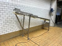Conveyor belt