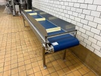 Nylon conveyor belt