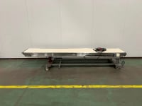 INTER SYSTEM conveyor belt