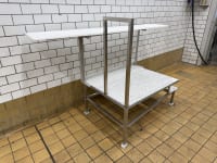 STAINLEES STEEL PLATFORM
