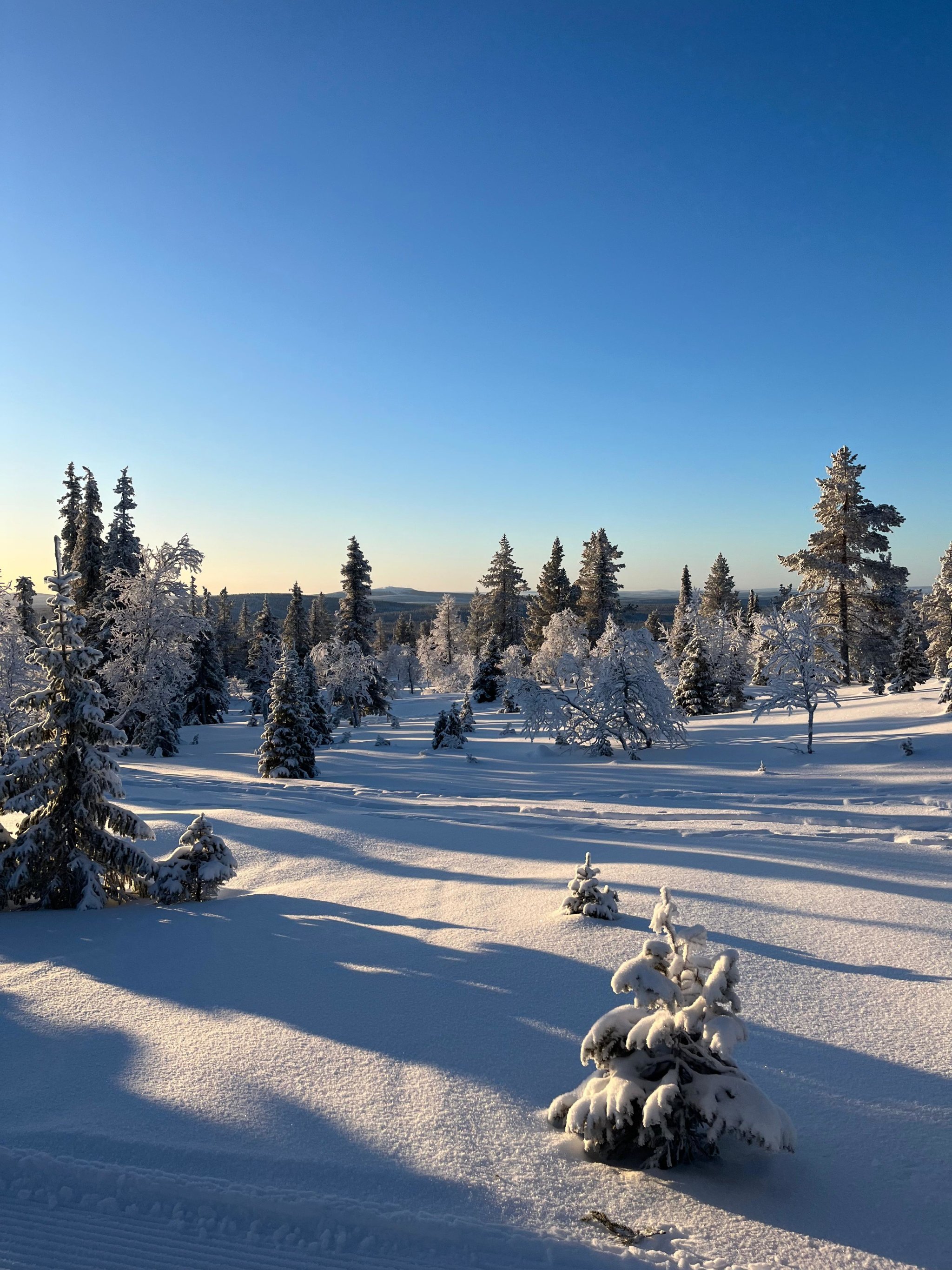 Snowshoeing in Levi - Image 1