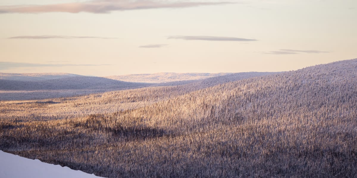 Igloo Hotel – Sleep Under the Northern Lights in Lapland