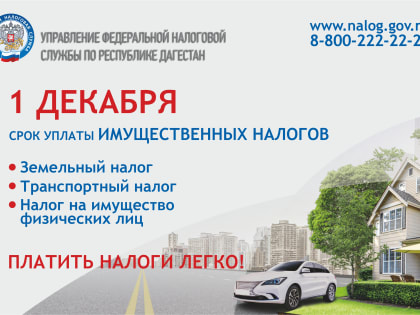Порядка 1 млн дагестанцев задолжали более 4 млрд рублей имущественных налогов за 2022 год