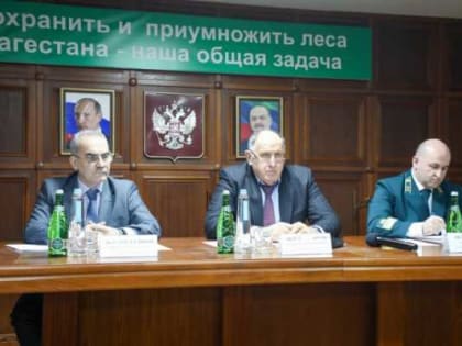 Абдулмуслим Абдулмуслимов: "Глубокая переработка древесины позволит создать новые рабочие места"