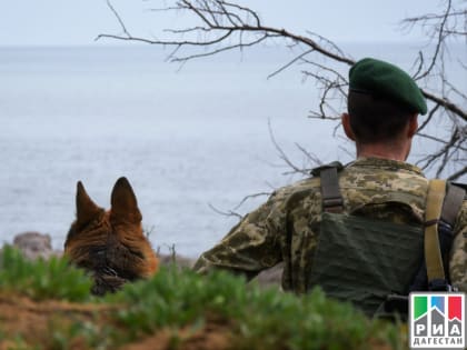 Пограничники Дагестана задержали на границе скрывавшегося от правосудия мужчину