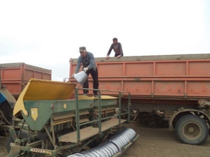 Качество семенного материала в Дагестане на высоком уровне