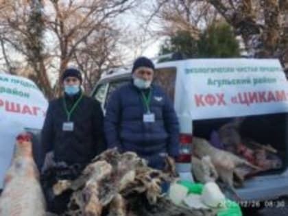 КФХ «Цикам»