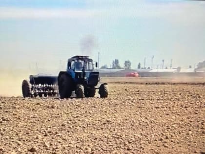 Аграрии  Хасавюртовского района приступили к посевной кампании озимых зерновых