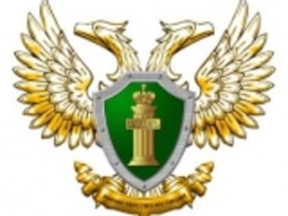 Напоминаем о формах и сроках представления в Министерство юстиции Российской Федерации отчетности некоммерческих организаций