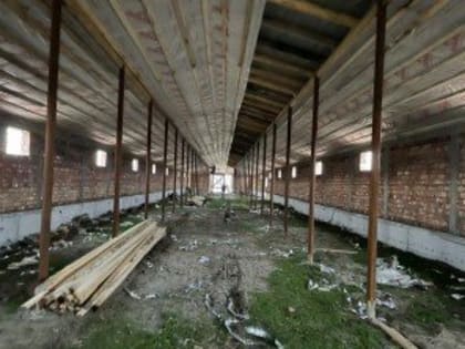 В Дагестане завершается строительство крупной буйволиной фермы