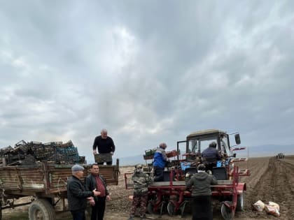 Хасавюртовский  район  в числе лидеров в республике по производству  сельскохозяйственной продукции