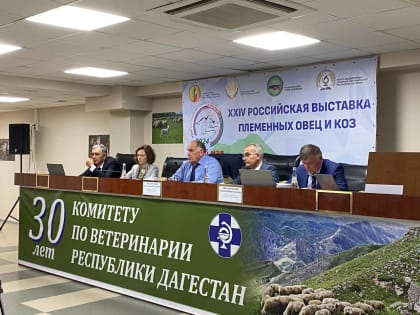 Участники выставки овец и коз в Дагестане обсудили перспективы развития отрасли и повышения ее привлекательности