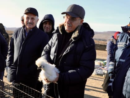 Нариман Абдулмуталибов проверил работу скотного рынка в Манасе