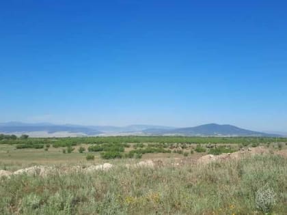 Несуществующие виноградники крымского производителя вина выявили в Дагестане