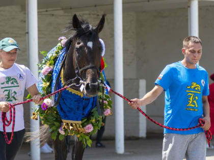 Скакун из Дагестана стал победителем Ростовского дерби