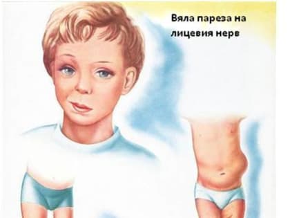 Привить нельзя заболеть: где поставить запятую?