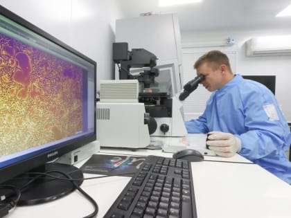 Роспотребнадзор исключил риски распространения чумы в России