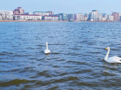 Ак-Гёль живет: дорогу осилит идущий