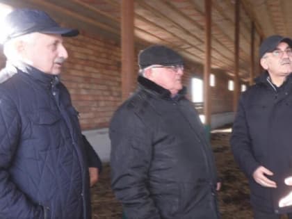 Председателя Правительства РД Нариман Абдулмуталибов посетил буйволиную ферму СПК "Сектор"