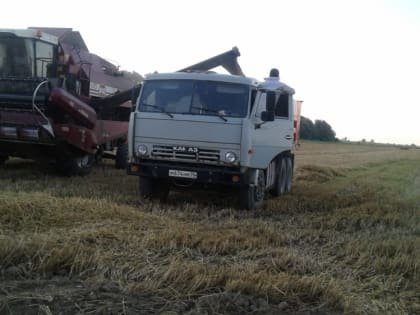 На полях Хасавюртовского района продолжается уборка озимых зерновых культур