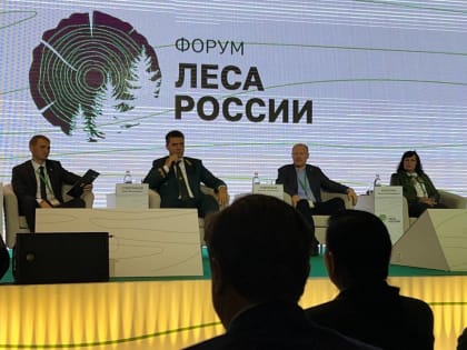 Рослесхоз разделил леса страны на 10 групп по природным, экономическим и социальным условиям