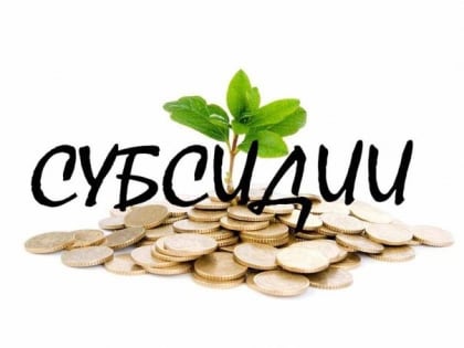 Миннац Дагестана объявляет о завершении приема заявок на конкурс по отбору проектов для предоставления субсидий