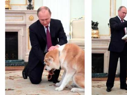 Что дарили Президенту России В. Путину