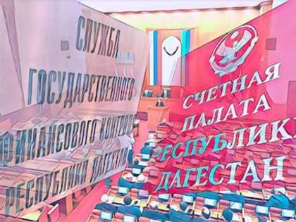 Новый законопроект в Дагестане о перераспределении полномочий