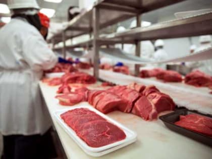 В Кизилюртовском районе выделены участи под строительство мясоперерабатывающего предприятия