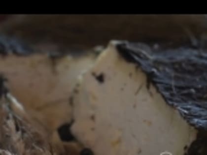 Гумбетовский сыр презентовали в Санкт-Петербурге