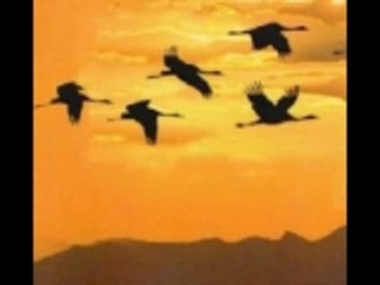 Нуцалай Султанова приняла участие в акции Года Расула Гамзатова